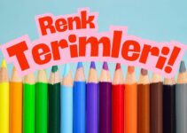 Renk Terimleri Ve Anlamları Renk Terimleri Ve Anlamları