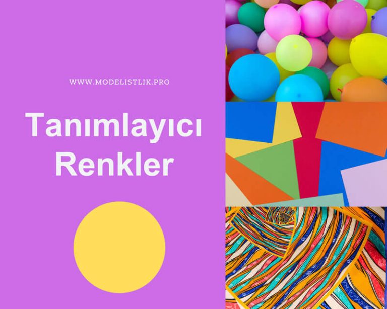 Tanımlayıcı Renkler